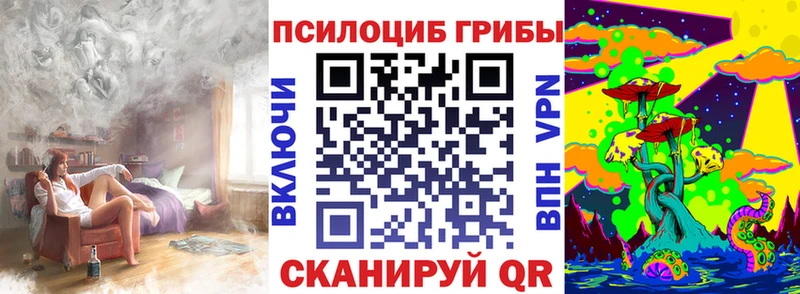 Купить  Нюрба  Галлюциногенные грибы Psilocybe 
